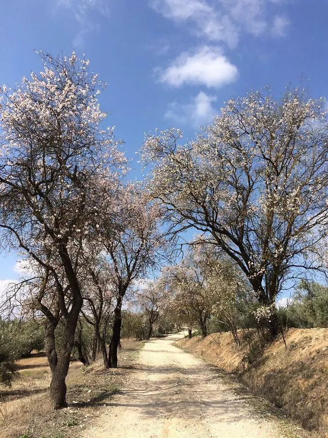 Villa Cortijo Ribero Cabra 0*,  España